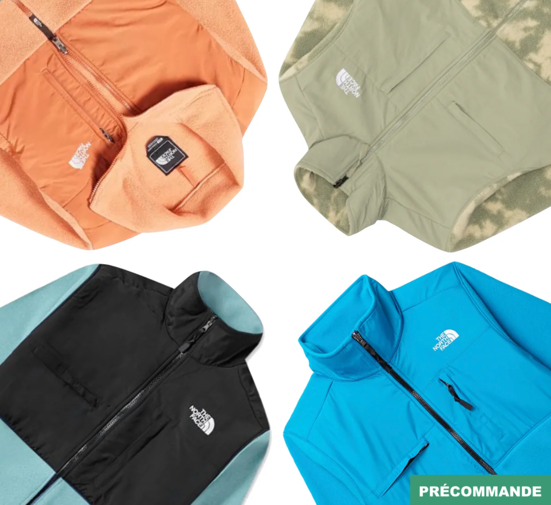 Précommande - Polaire The North Face DENALI